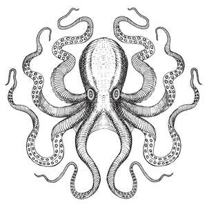 Meet your Posher, Russ